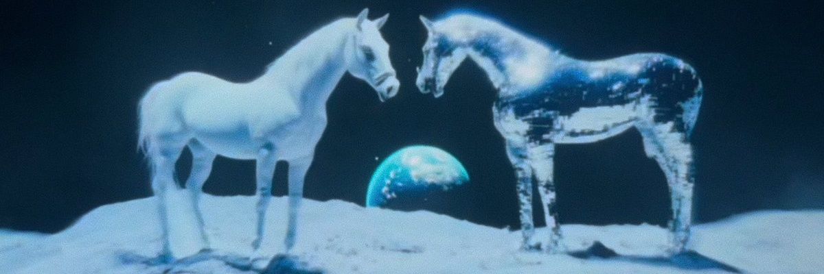 horse banner