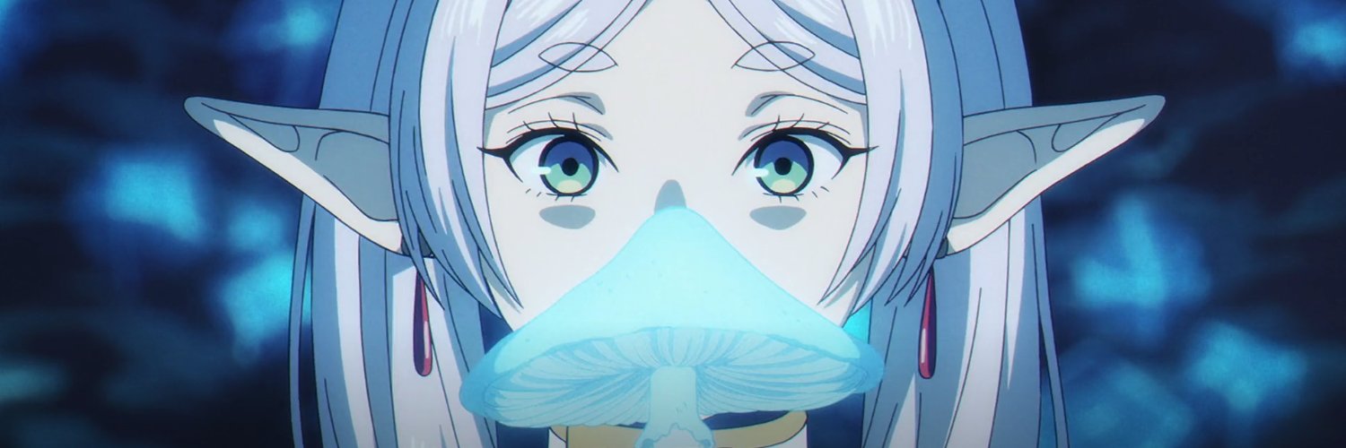 shroom banner