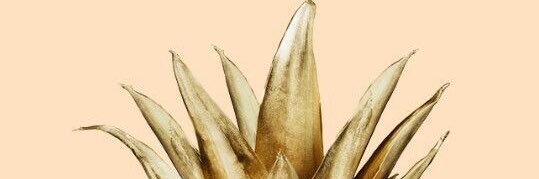 Roxyblesss's profile banner image