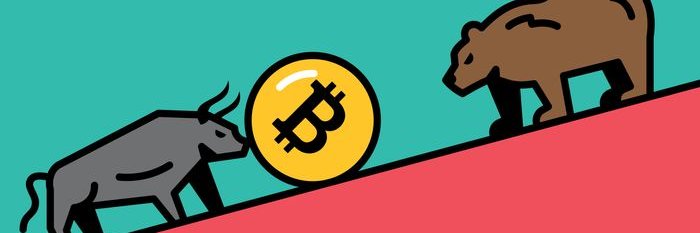 kapilaperera8's profile banner image
