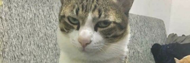 myonicholas's profile banner image