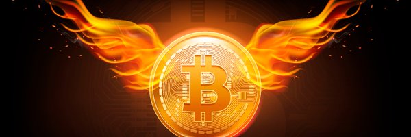 bitbini Profile Banner