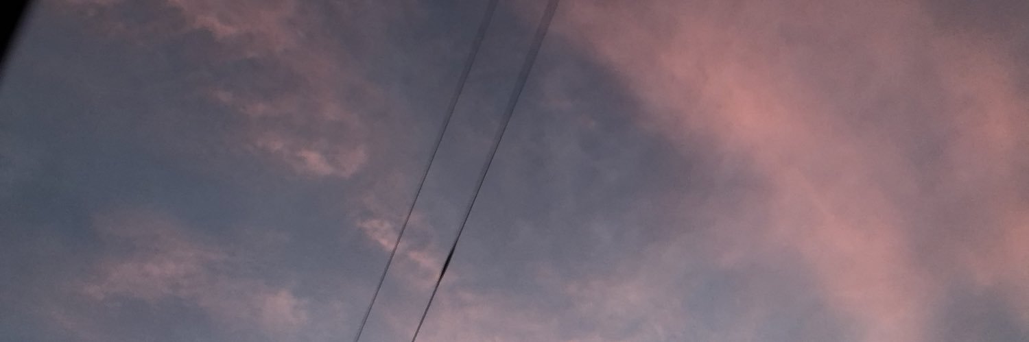 29Bailee's profile banner image