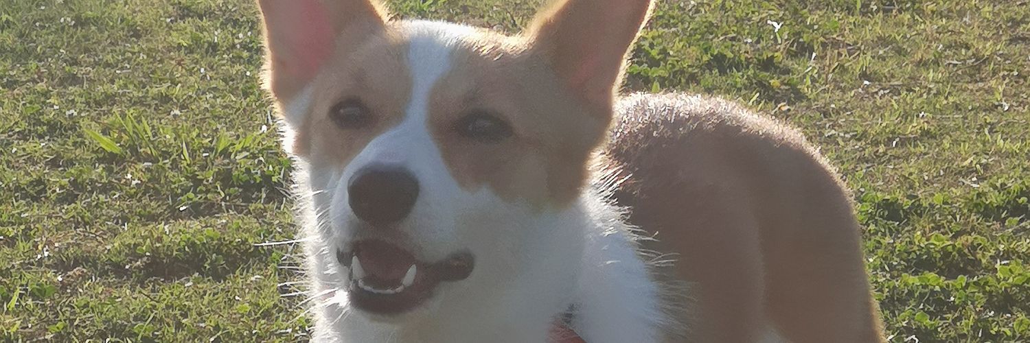 spoochy7's profile banner image
