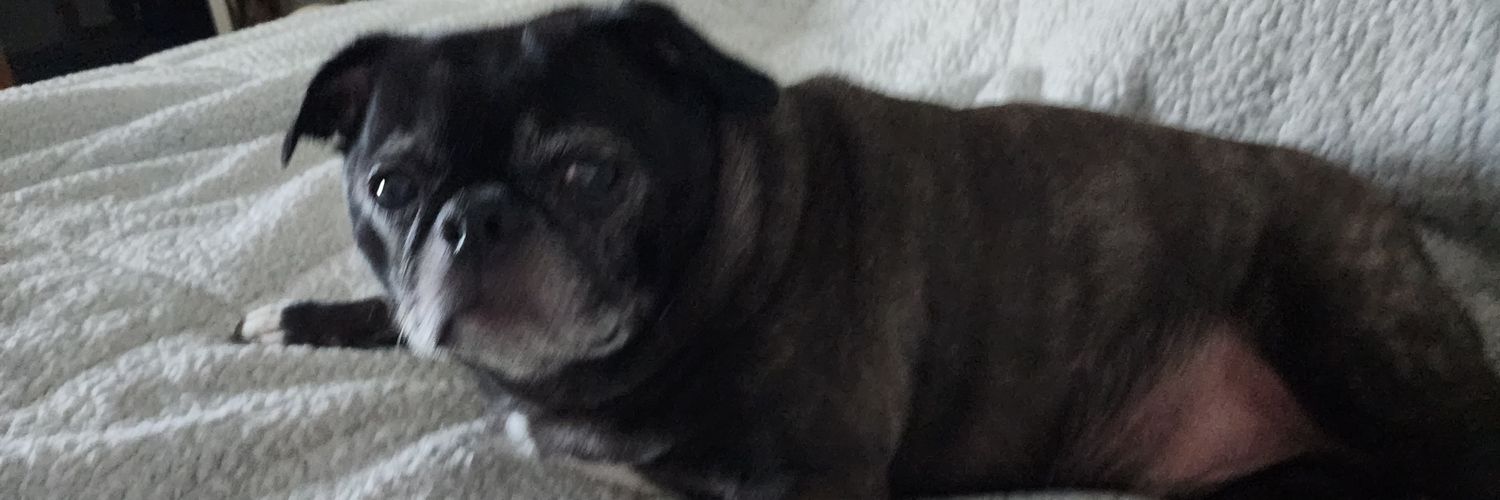 BigRobGinger's profile banner image