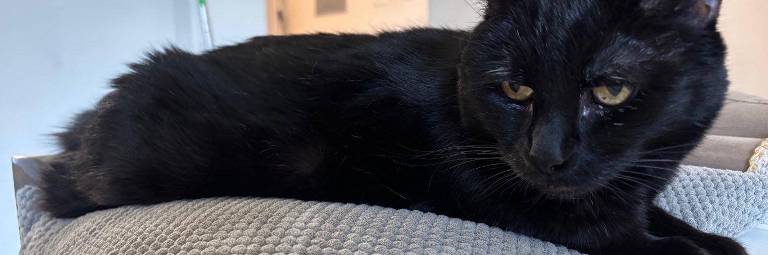 Chris (RIP Zahlen🌈🐈‍⬛) banner