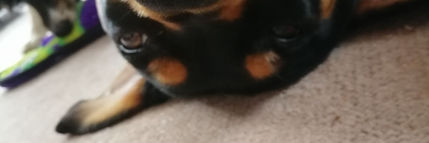 Jawsateu's profile banner image