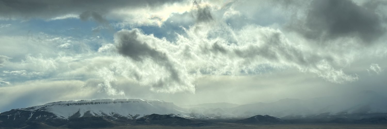 dhollander's profile banner image