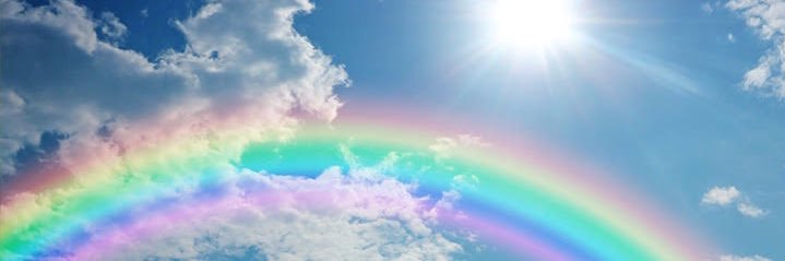 瀧澤優子 banner