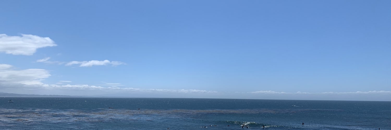 vaperoski's profile banner image