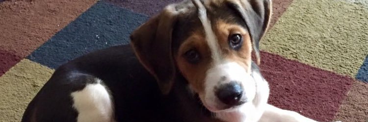 KayleighWedig's profile banner image