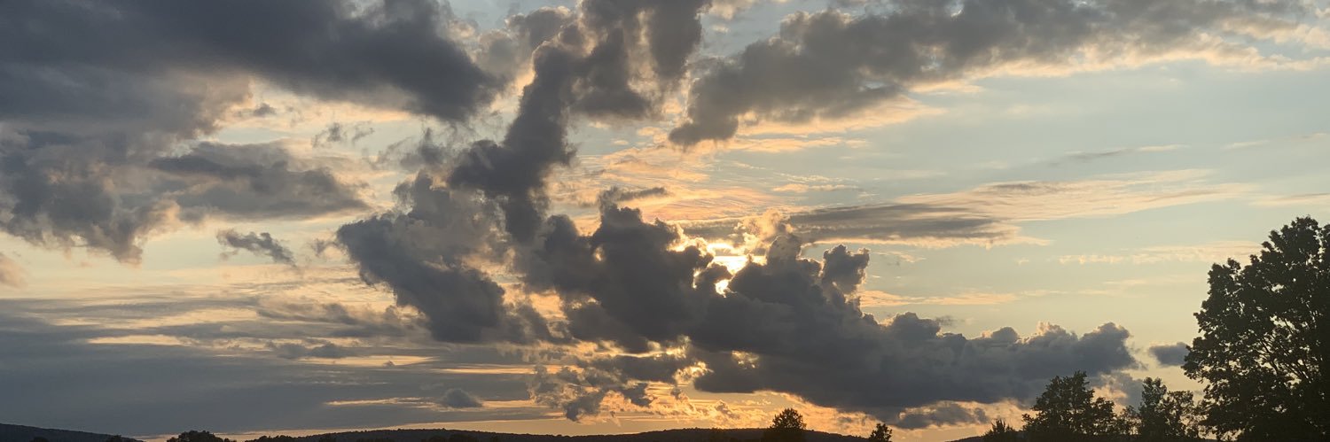 BoDesiTLB's profile banner image