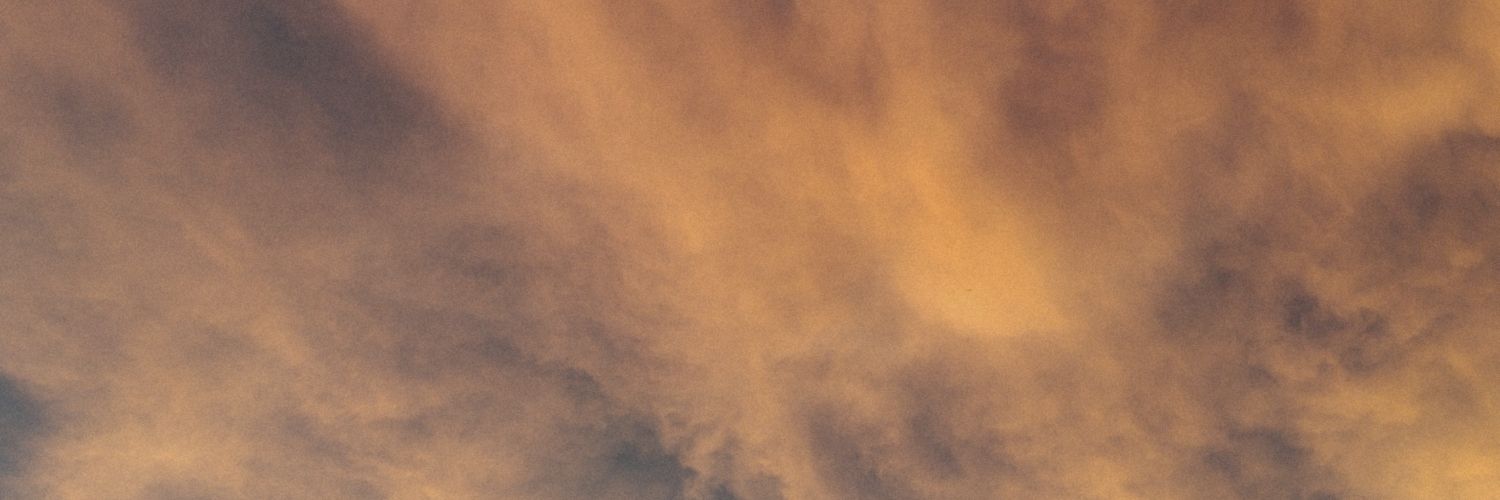 ROXANA LACIAR's banner
