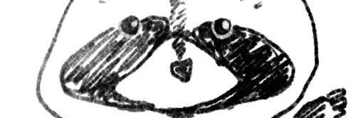 mineralala's profile banner image