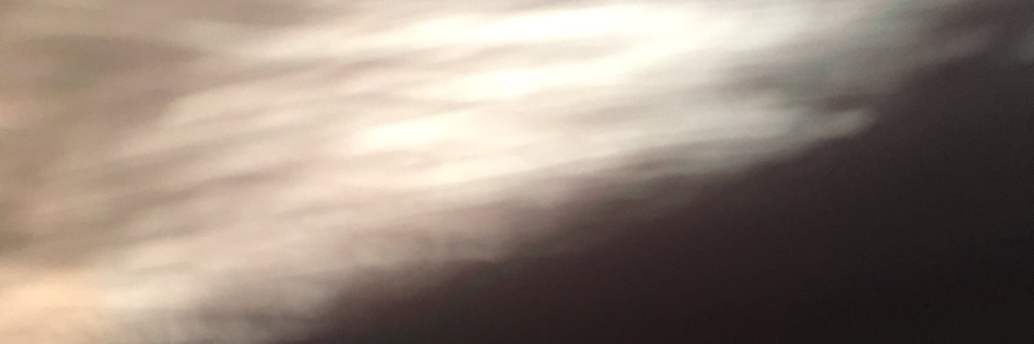 Sealows's profile banner image