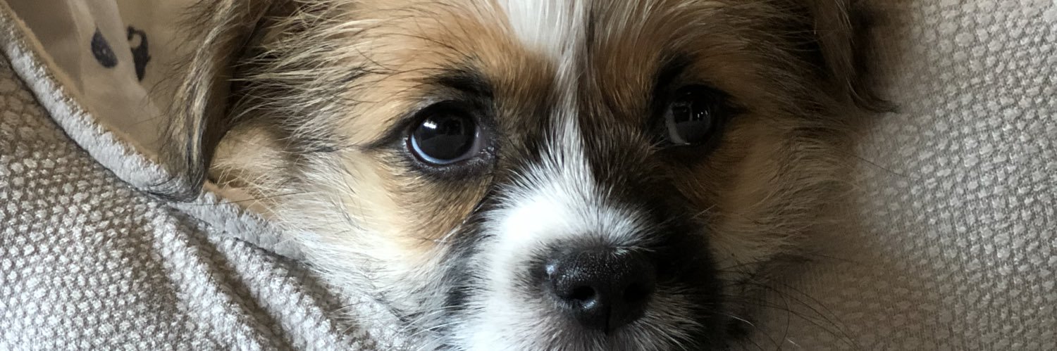 _jensen_queen's profile banner image