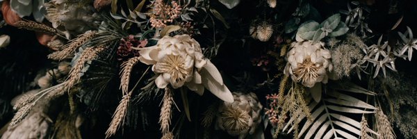 katomiyu612 Profile Banner