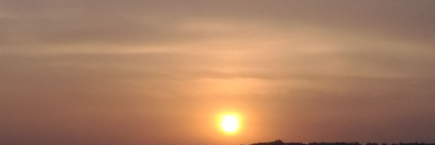 Shaive_rules's profile banner image
