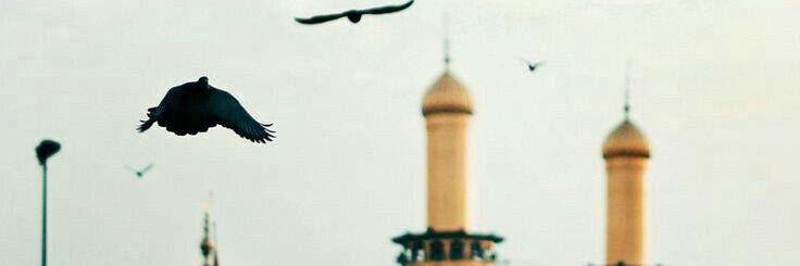 DAlyassiry's profile banner image
