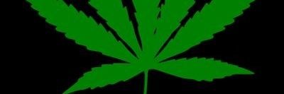 VandyTz's profile banner image
