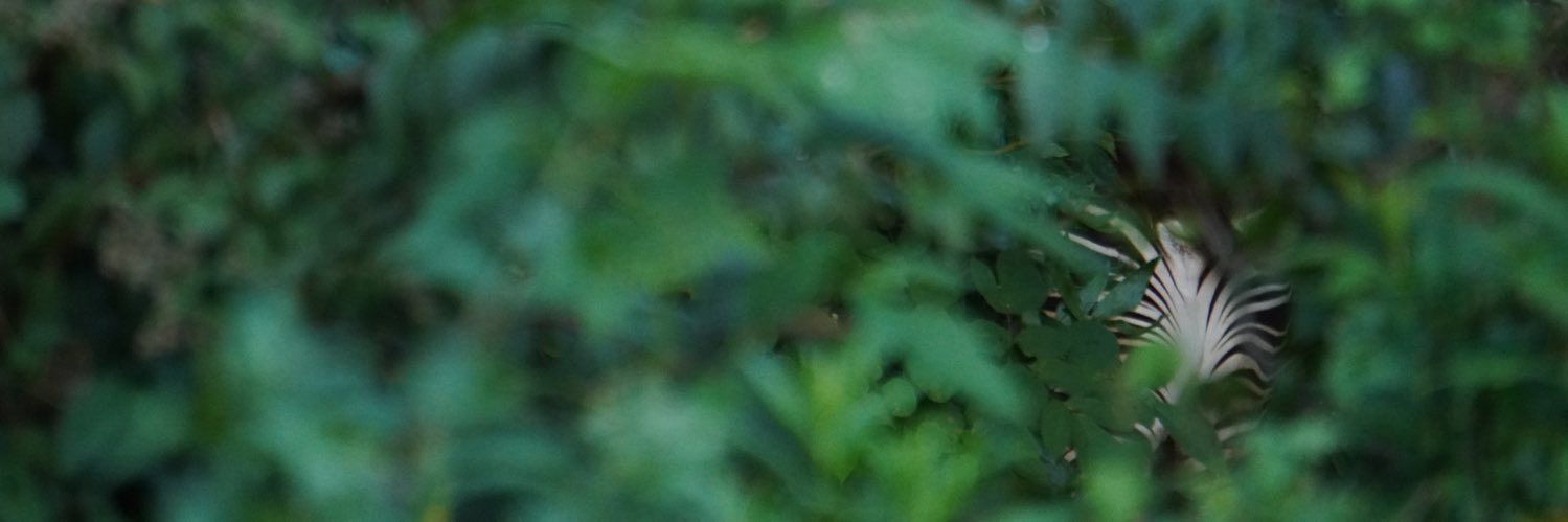 おーあ's banner