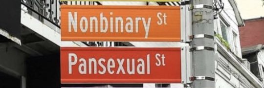 Non Binary Bitch banner