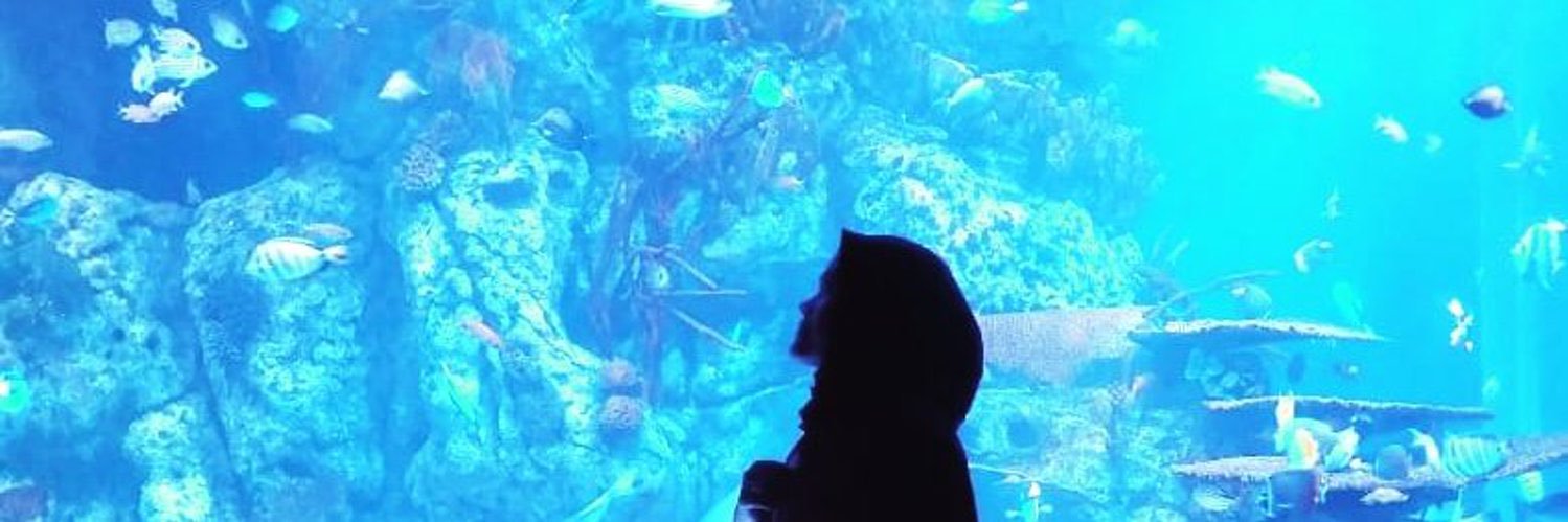Deddysopianpr's profile banner image