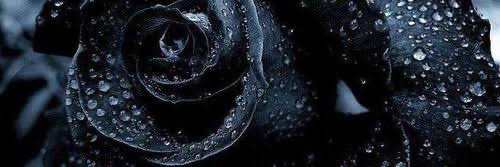 Moon_SoulStress's profile banner image