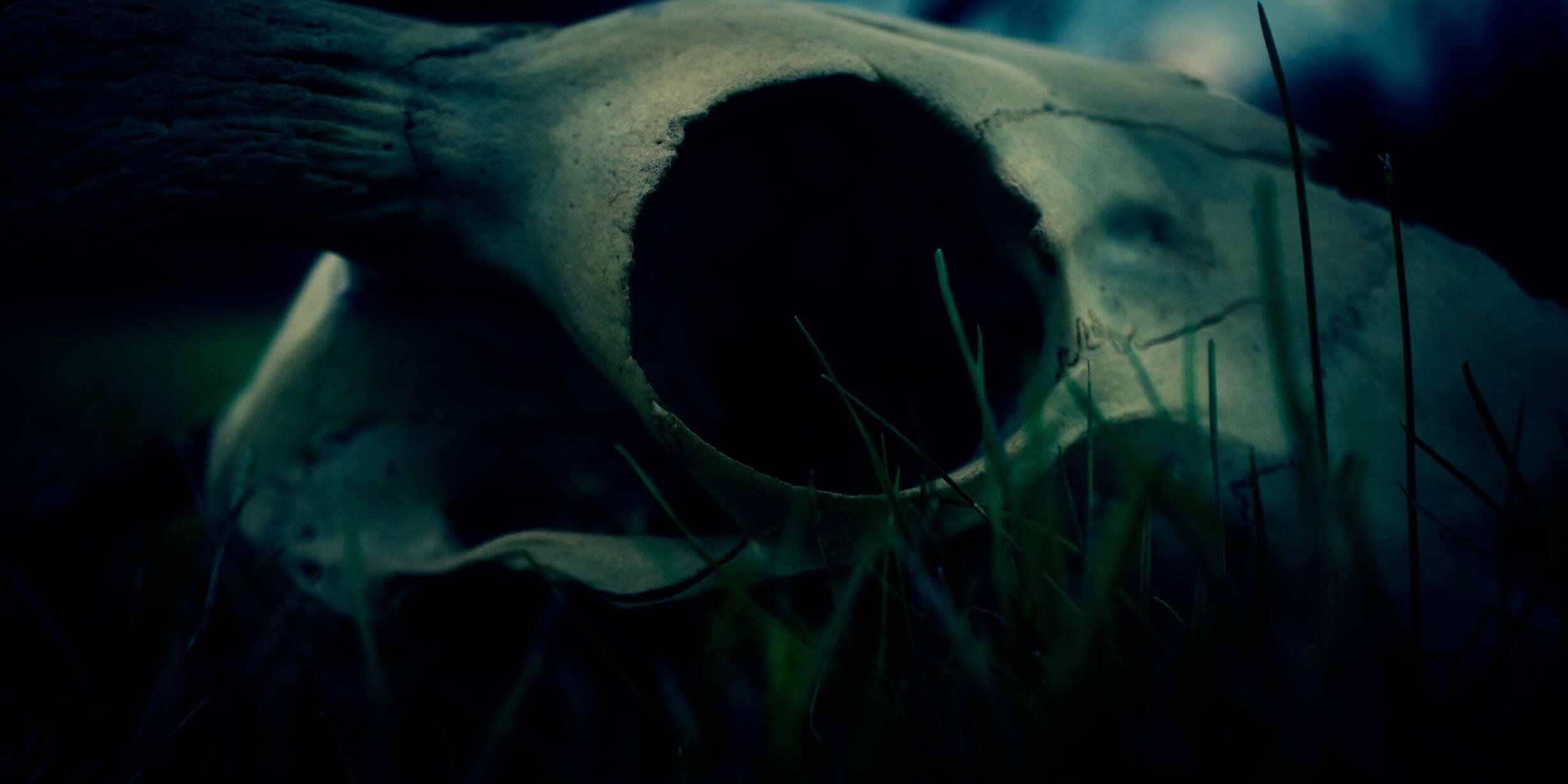Lulu_Helle's profile banner image