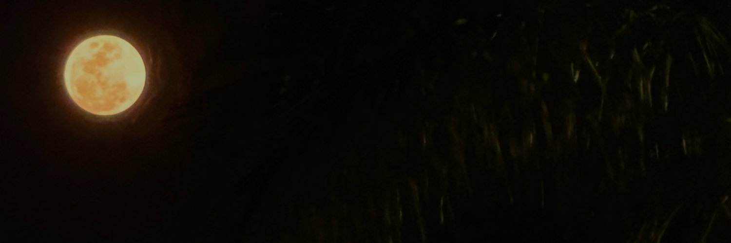 dgc31_'s profile banner image