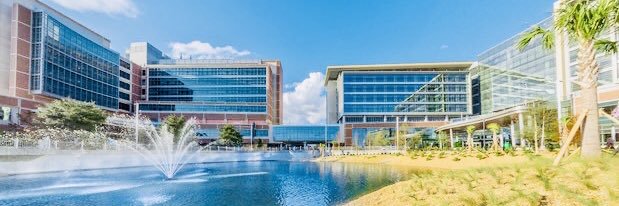 Thiago Beduschi banner