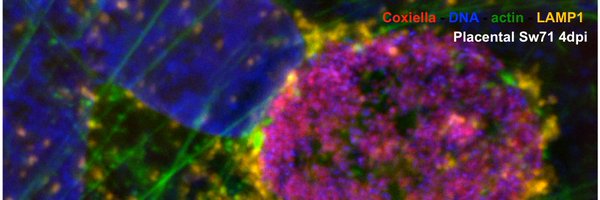 profpathogen1 Profile Banner