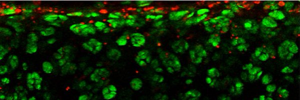 AlbroLab Profile Banner