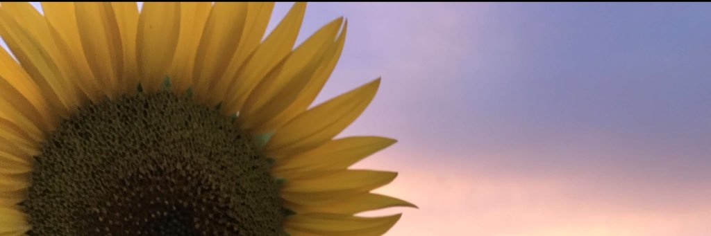 sdub95's profile banner image
