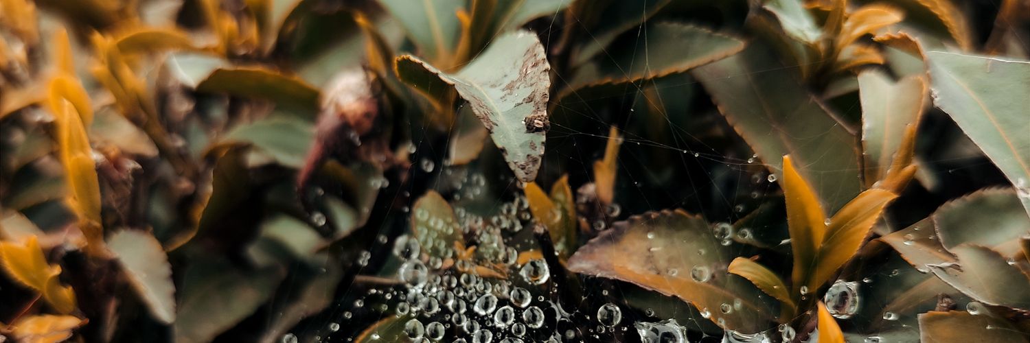 omidt95's profile banner image