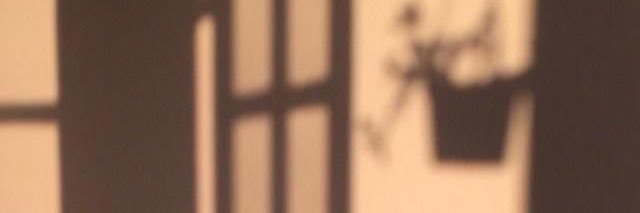 AMoonlightbae's profile banner image