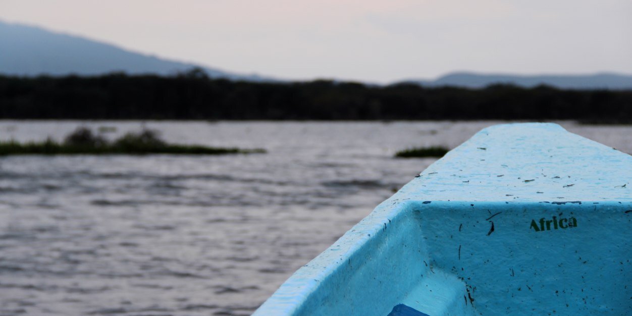 fjpereda's profile banner image
