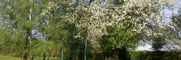 PawelMoskal1 Profile Banner