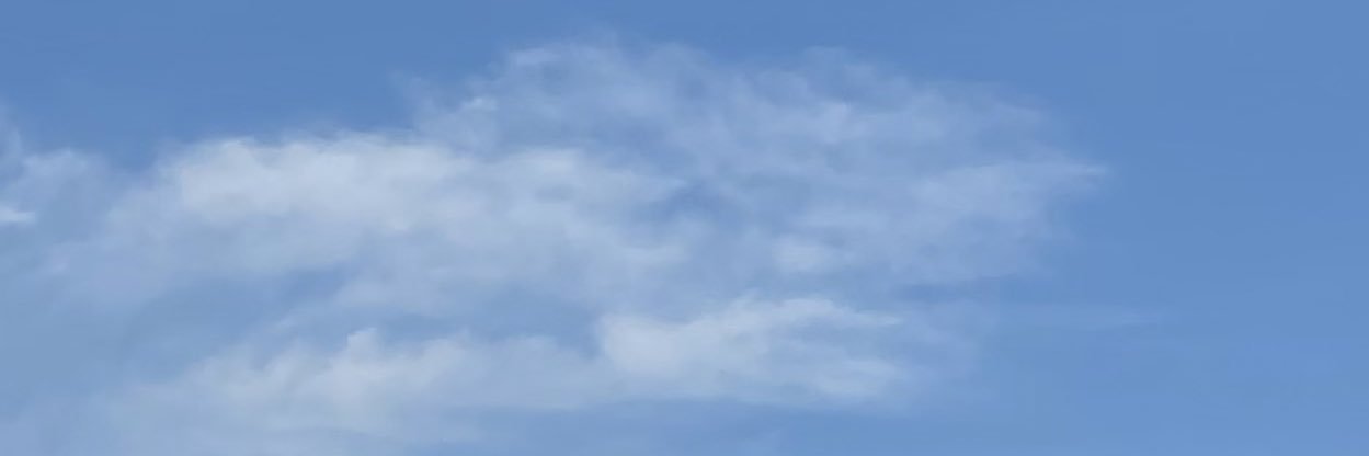 せりこ banner