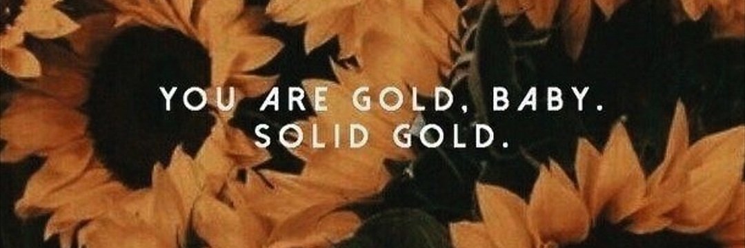 Net_Nicole_98 banner