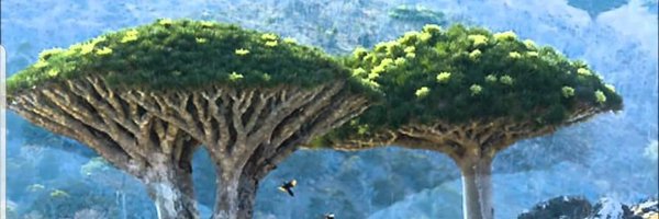 k_alrowaishan Profile Banner
