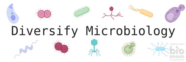DiversifyMicro Profile Banner