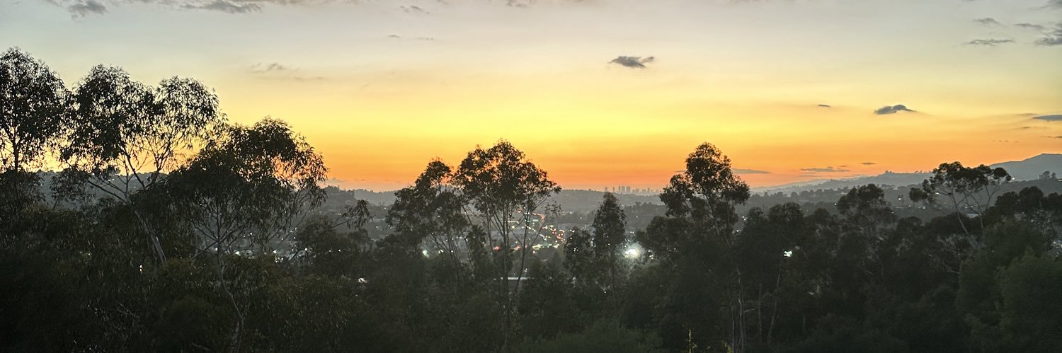 Luca Galvin banner