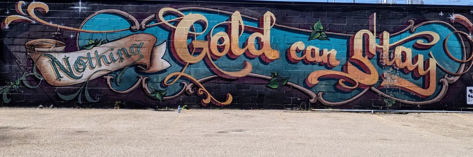 Allie Wojtaszek banner