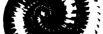 phatsocallum banner