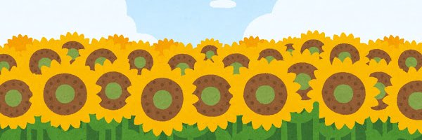 pochi393's profile banner image