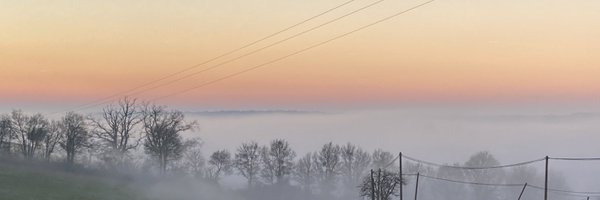 DelphineG55 Profile Banner