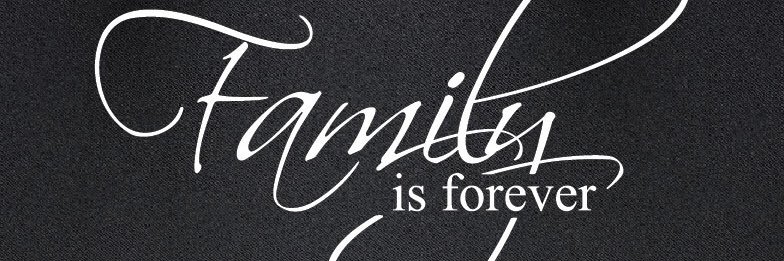 evola07's profile banner image