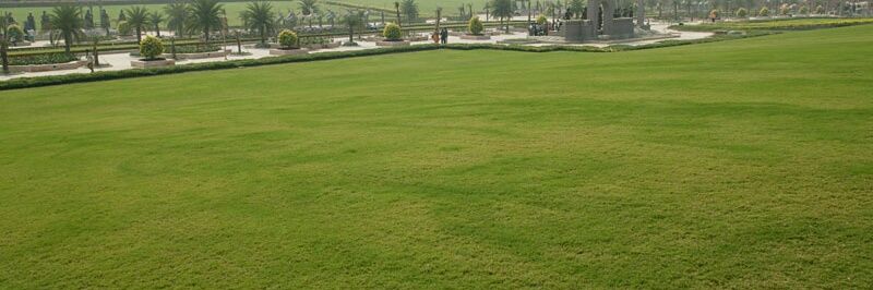 parth_pithva's profile banner image