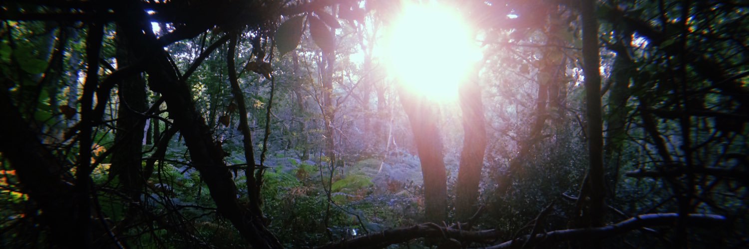 malide7's profile banner image